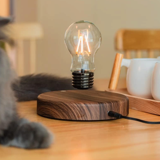 Levitating Light Bulb