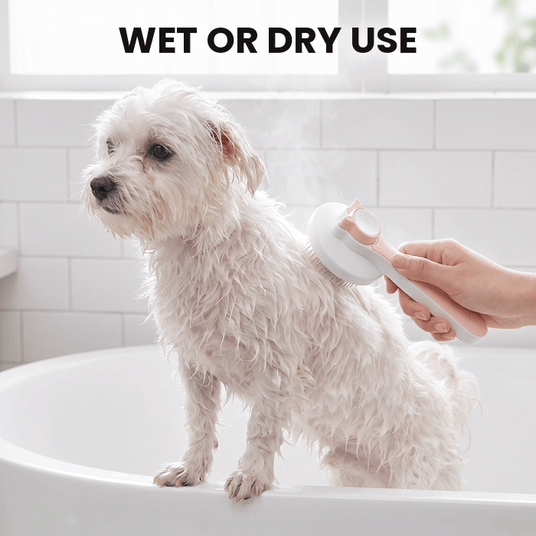 Self-Cleaning Pet Brush