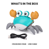 Crawling Crab Baby Toy