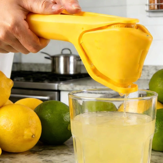 Fold-Flat Lemon Squeezer