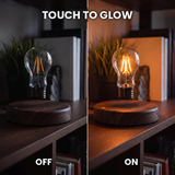 Levitating Light Bulb