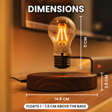 Levitating Light Bulb