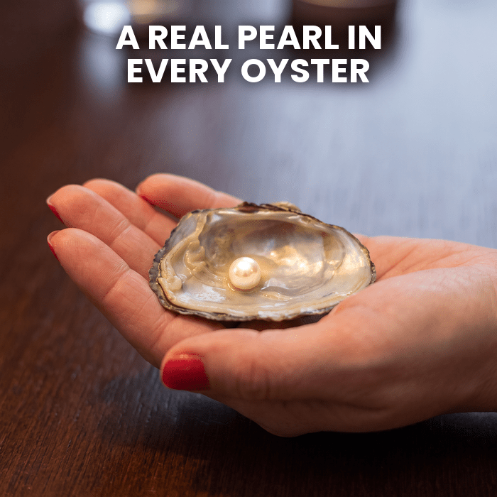 Oyster Pearl Necklace Kit