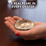 Oyster Pearl Necklace Kit