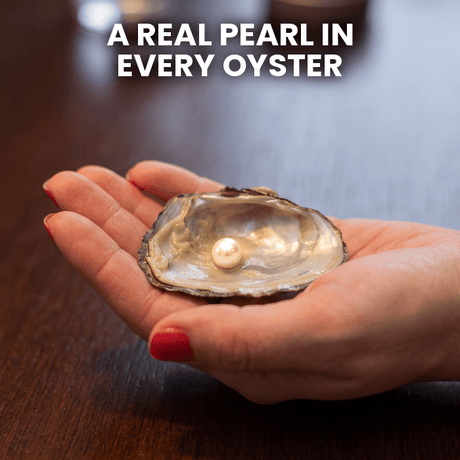 Oyster Pearl Necklace Kit