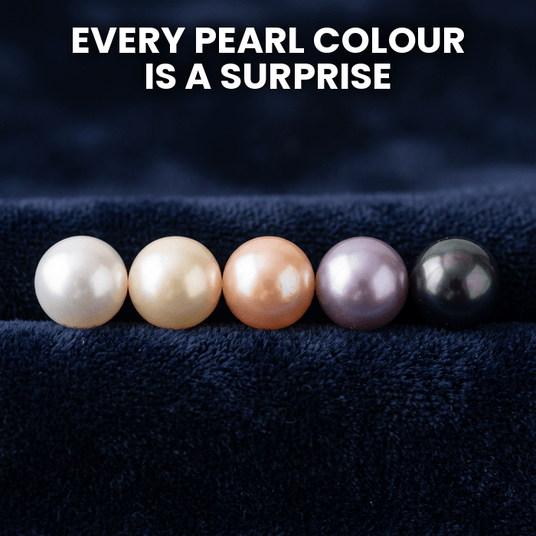 Oyster Pearl Necklace Kit