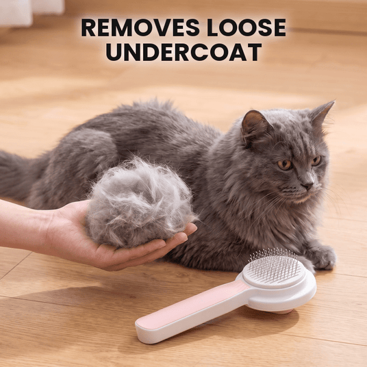Self-Cleaning Pet Brush