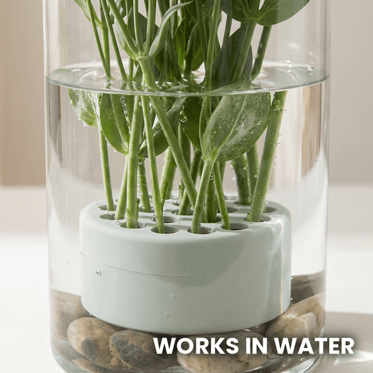 Spiral Stem Holder